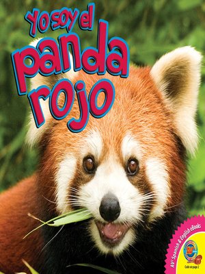 cover image of El panda rojo
